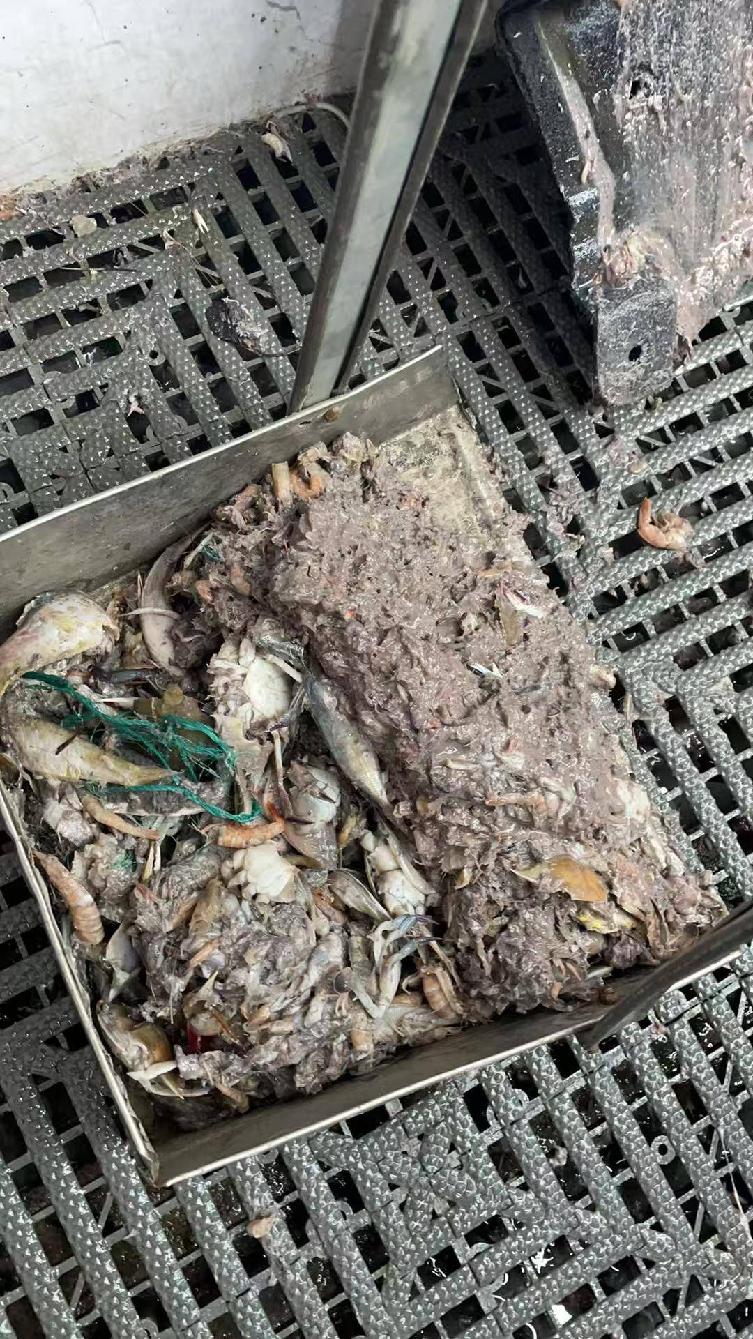 紫牛头条|40余车辆遭高速海鲜废料“臭袭”<strong></p>
<p>公司资讯</strong>,交警称“非交通事故”,车主维权陷两难