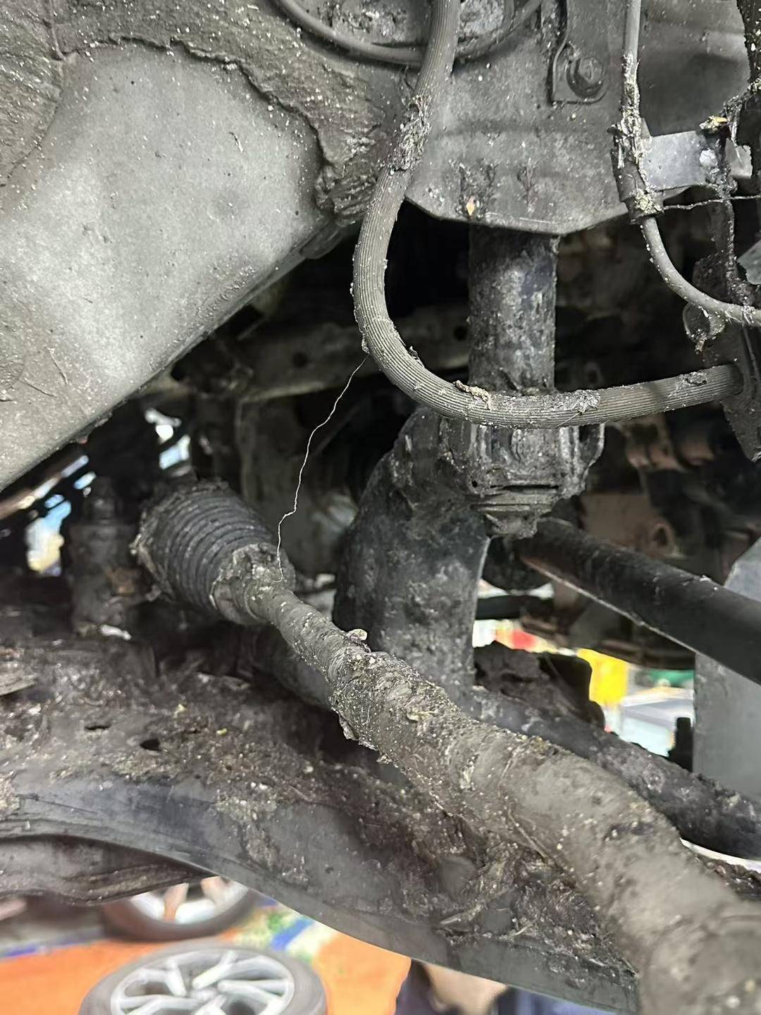 紫牛头条|40余车辆遭高速海鲜废料“臭袭”<strong></p>
<p>公司资讯</strong>,交警称“非交通事故”,车主维权陷两难