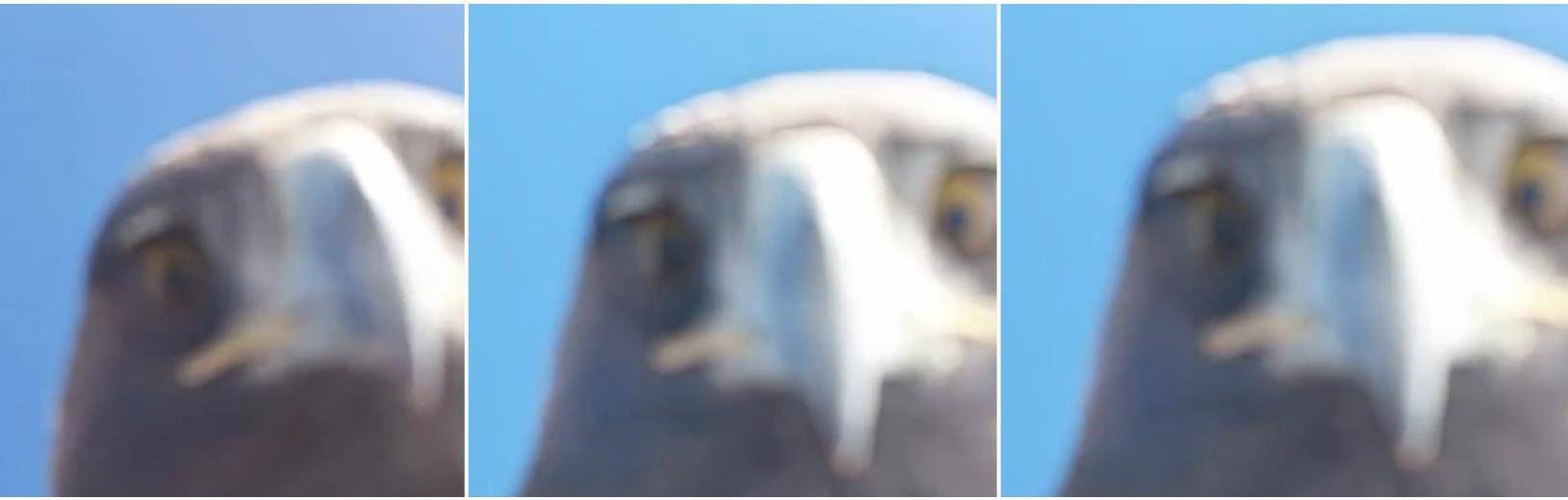 土耳其老鹰空中抓走无人机<strong></p>
<p>资讯新</strong>，带上山顶“玩自拍”