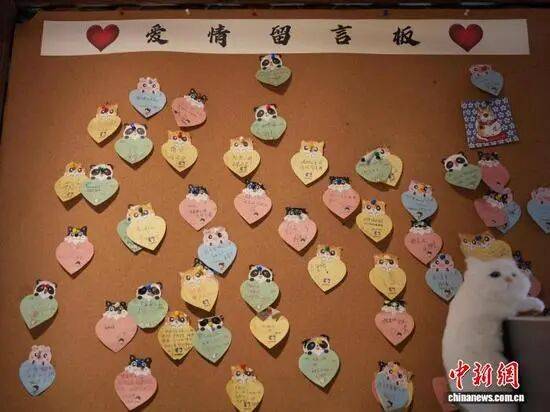 从卤肉饭到“月老墙” 台湾大伯伯的贵阳温情驿站