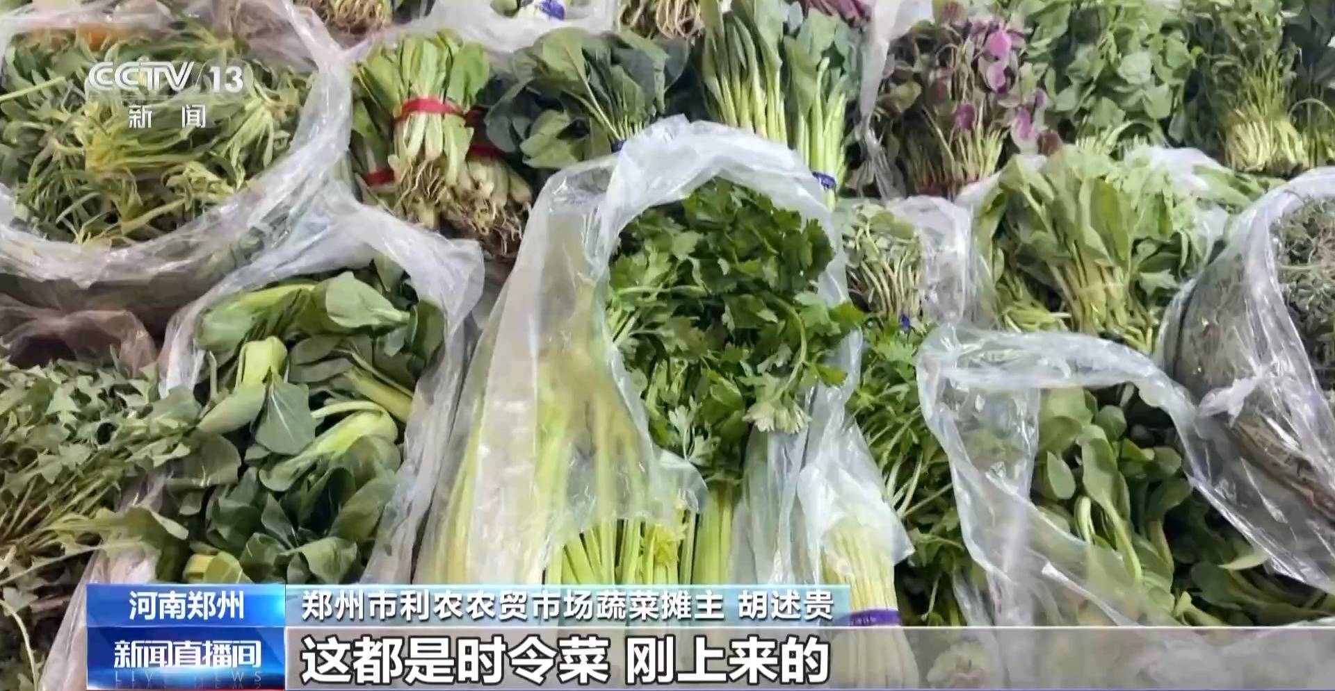 蒸、煎、拌、酿……一口鲜菜如何“锁”住春天<strong></p>
<p>怎么关闭资讯</strong>？